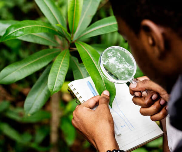 Environmental Studies